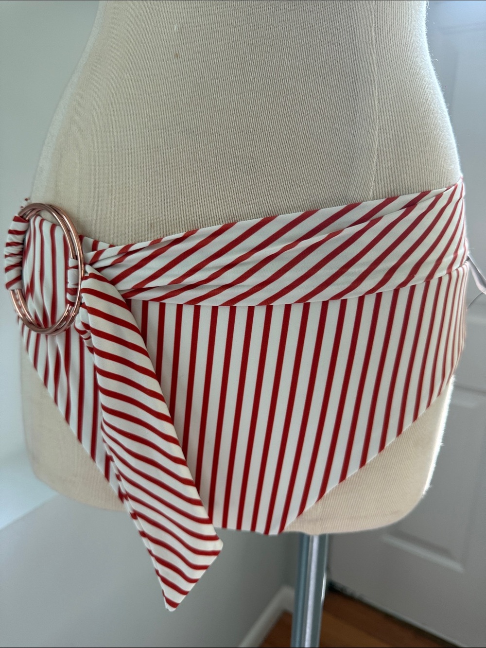 For Love And Lemons Red and White Striped Bikini Bottom with Ring Detail (4)